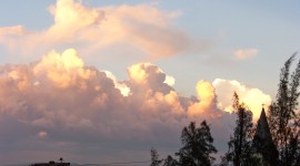 100_0582 100_0582