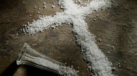 salt_of_the_earth salt_of_the_earth